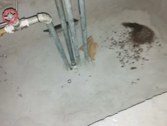 五寨卫生间测漏水价格明细